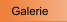 Galerie